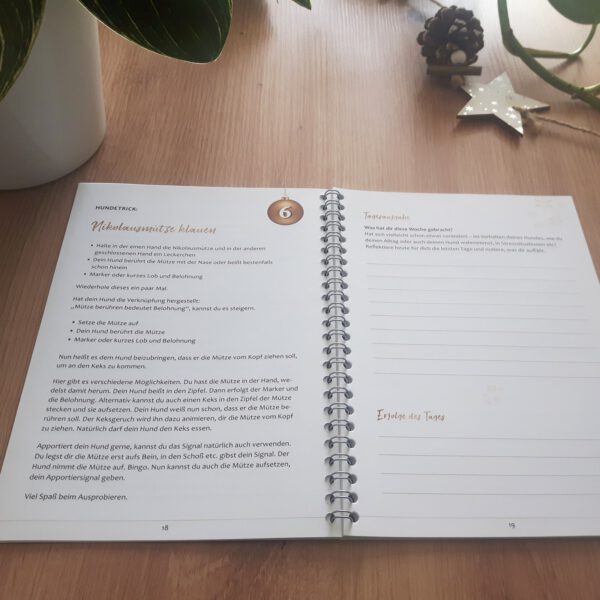 Beispielseite aus dem Adventsworkbook von wesensstark