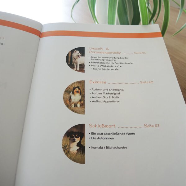Einblick Inhaltsverzeichnis Buch Nasenarbeit